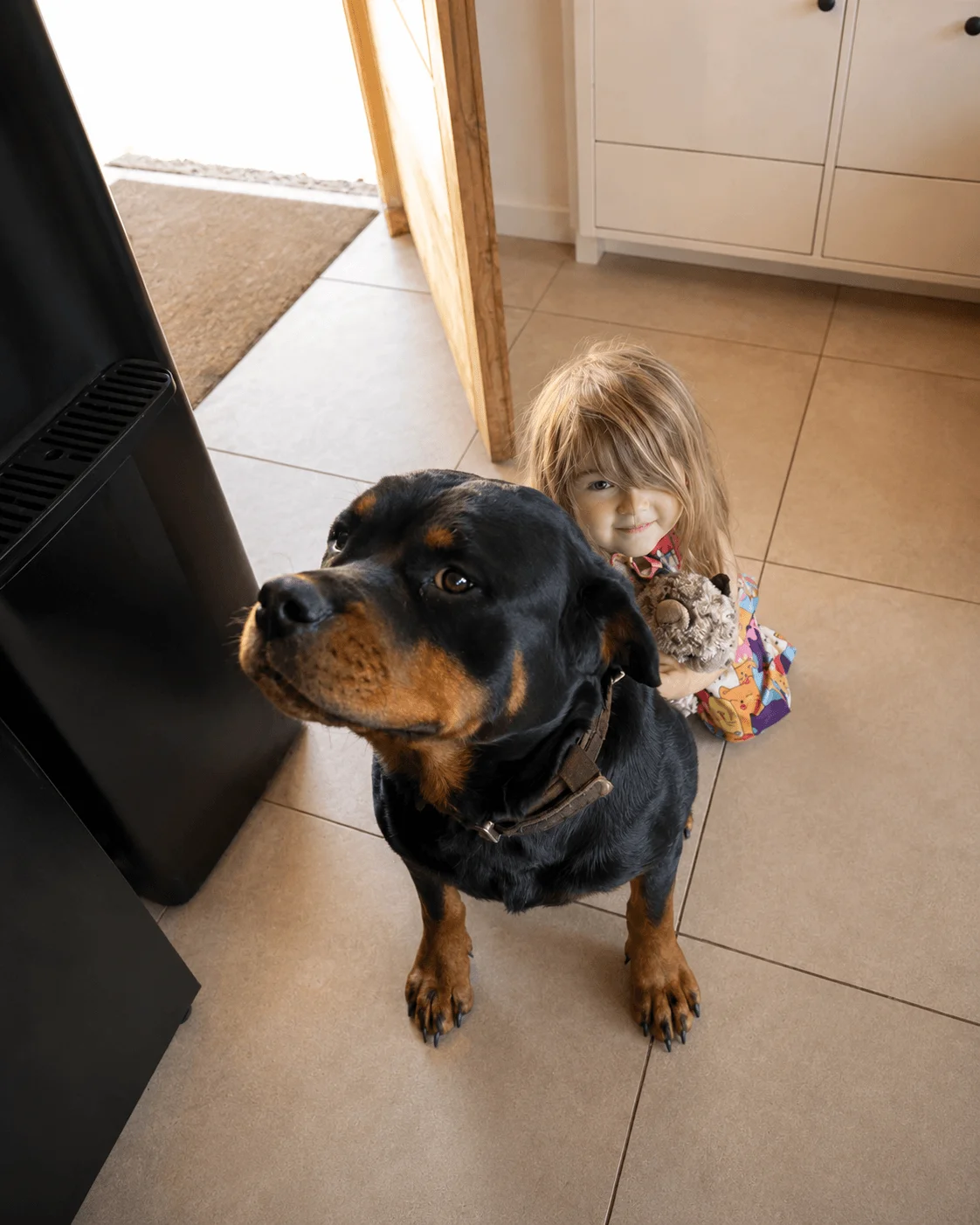 Thiara, rottweiler hembra